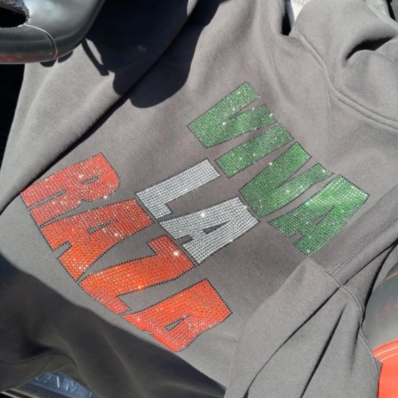 Viva La Raza Friends and Family Hoodie